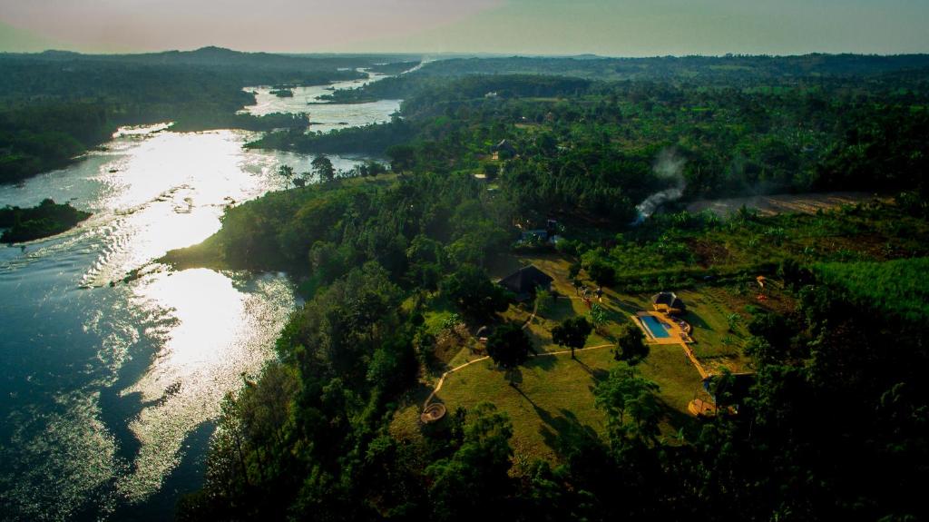 Buyala Bliss on the Nile photo 2