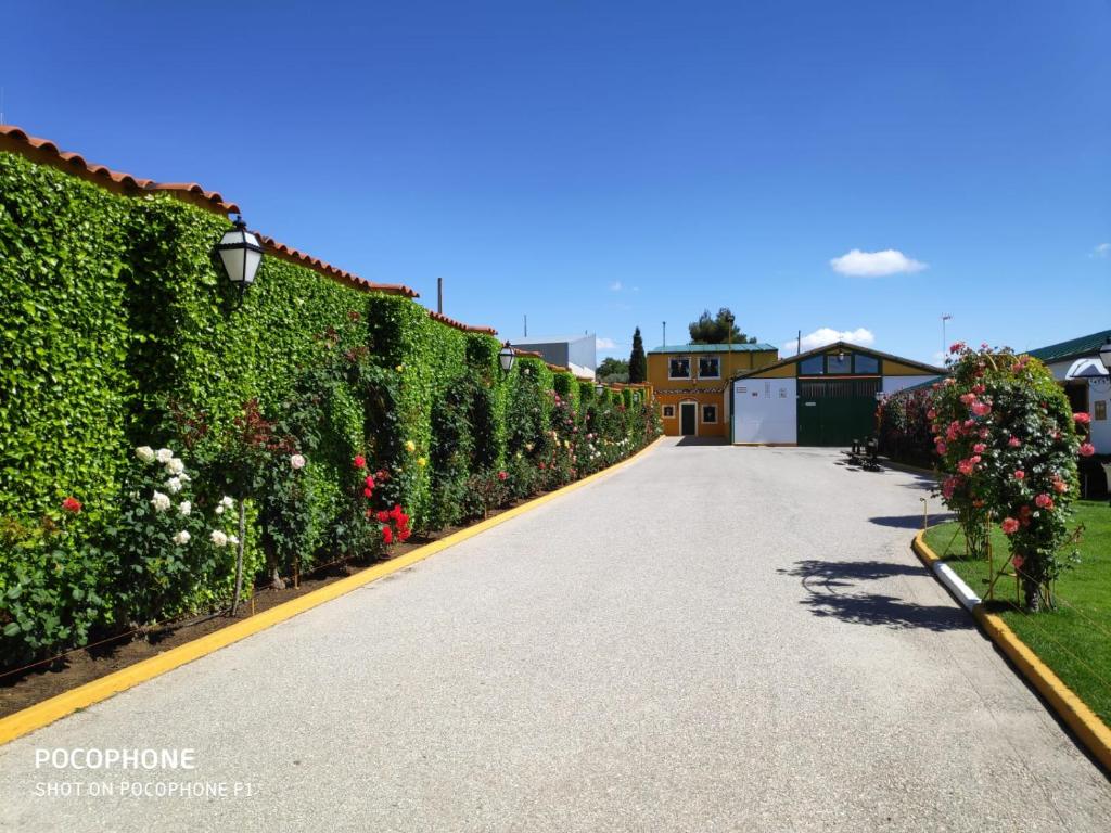 Casa Rural con Piscina, Celebración Eventos y Bodas Cerca de Madrid photo 4