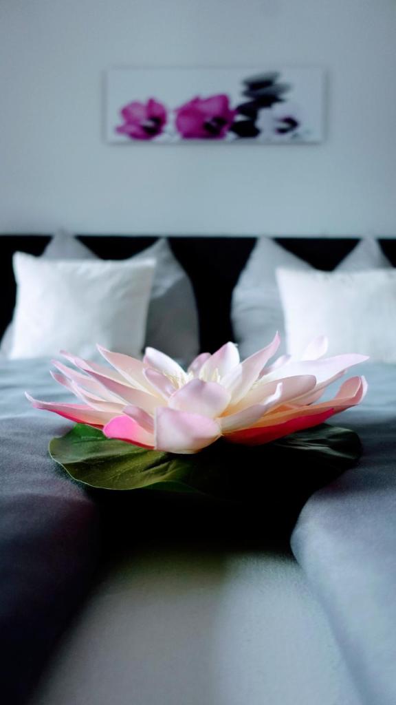 JOE's Appartement photo 3