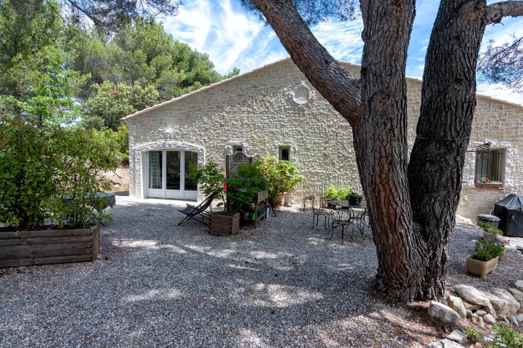 La Pinède du Barroux photo 1