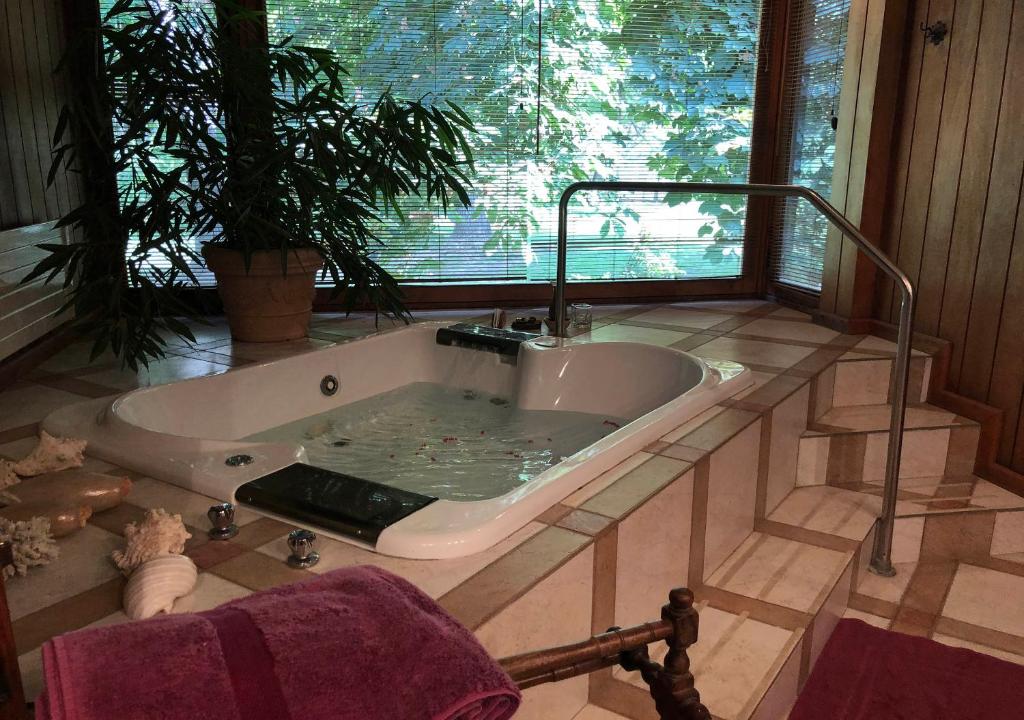 Hotel Boutique Almahue photo 1