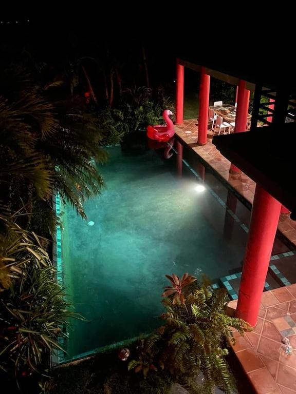Casa de Colores, Vieques photo 2