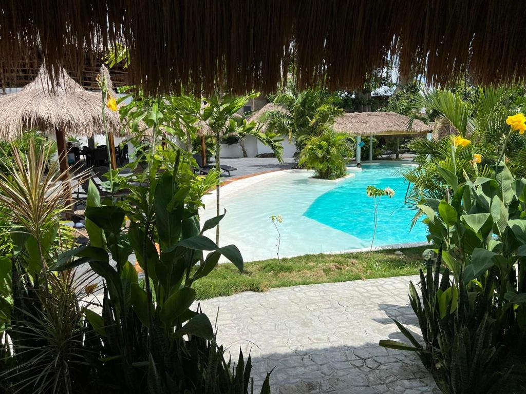Secret paradise moalboal photo 2