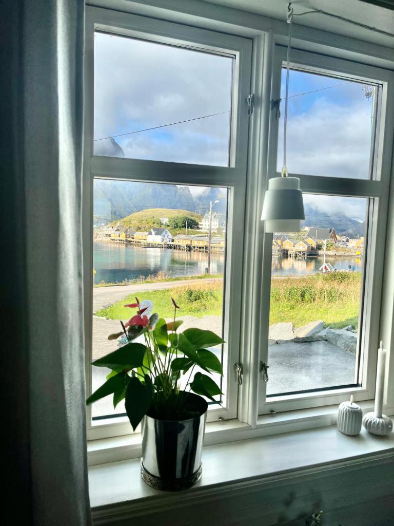Lofoten Villa photo 2
