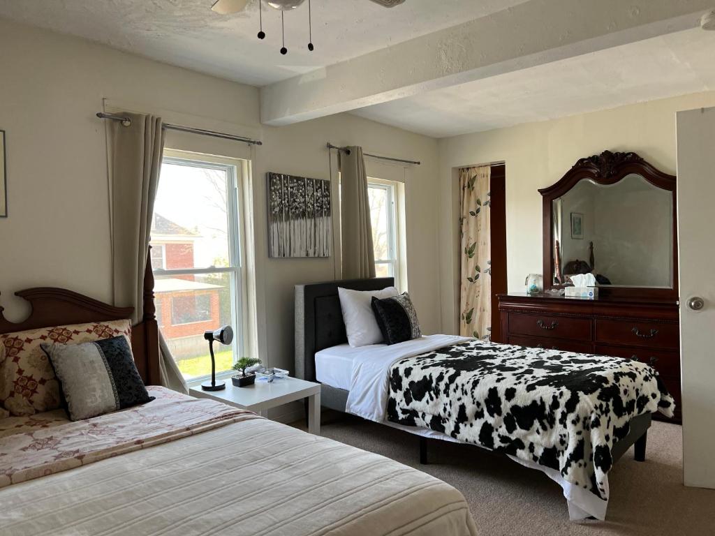 Cheerful residence photo 2