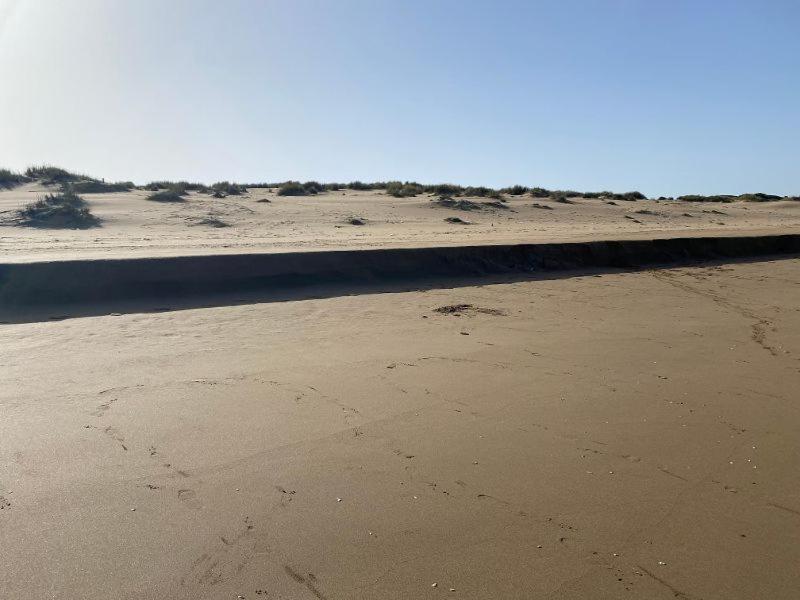 APPARTEMENT BORDURE PLAGE photo 2