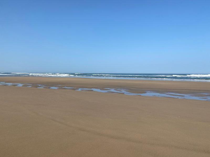APPARTEMENT BORDURE PLAGE photo 1