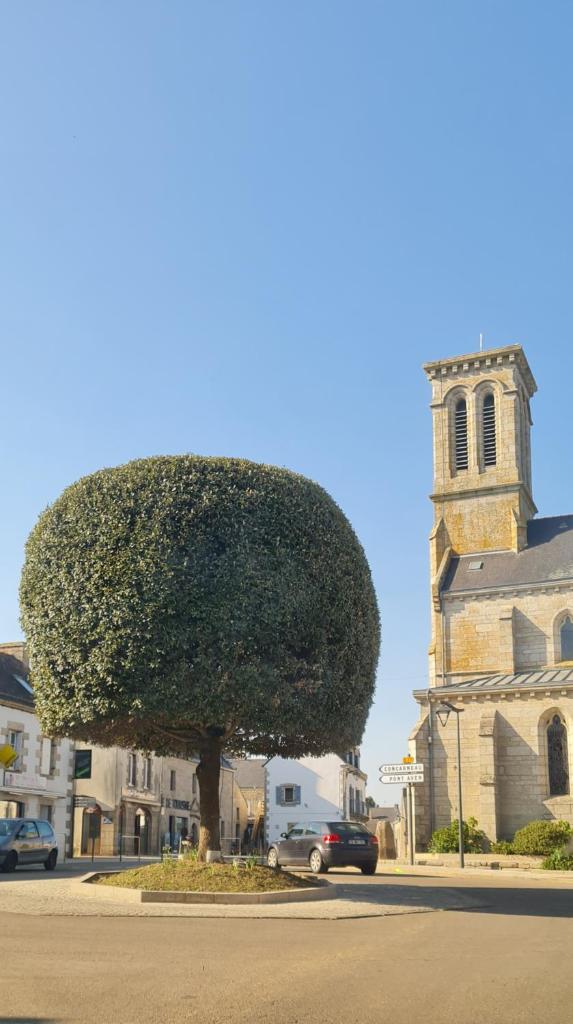 Grande Maison dans le Bourg de Nevez + jardin photo 2