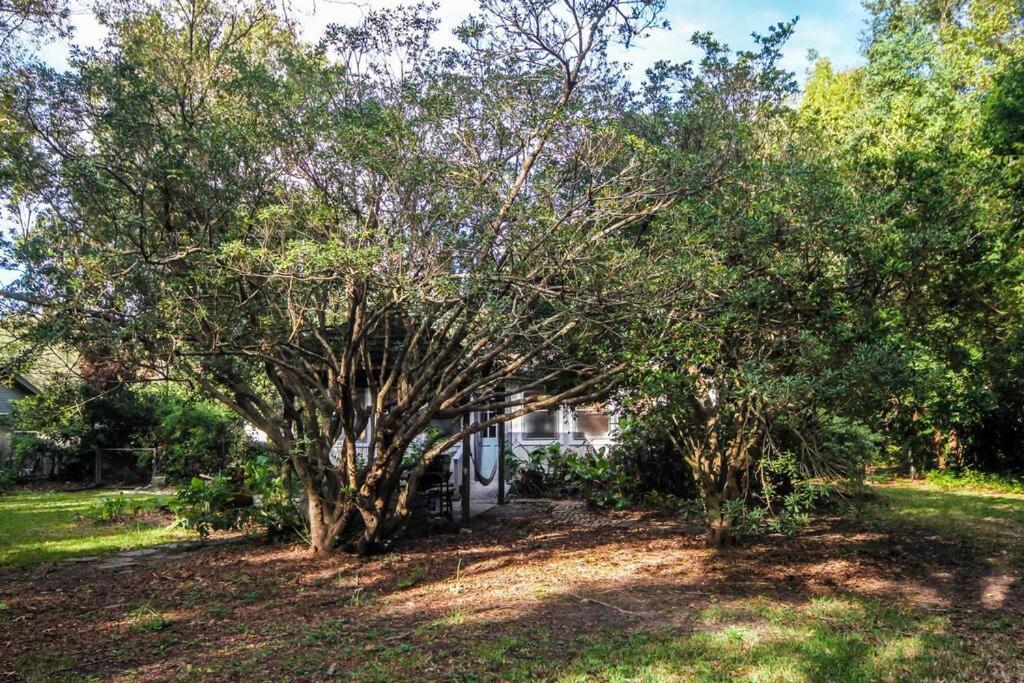 Hip Island House photo 1