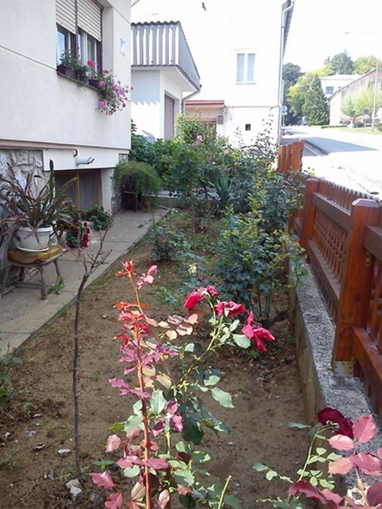 Apartments with WiFi Daruvar, Bjelovarska - 17093 photo 3