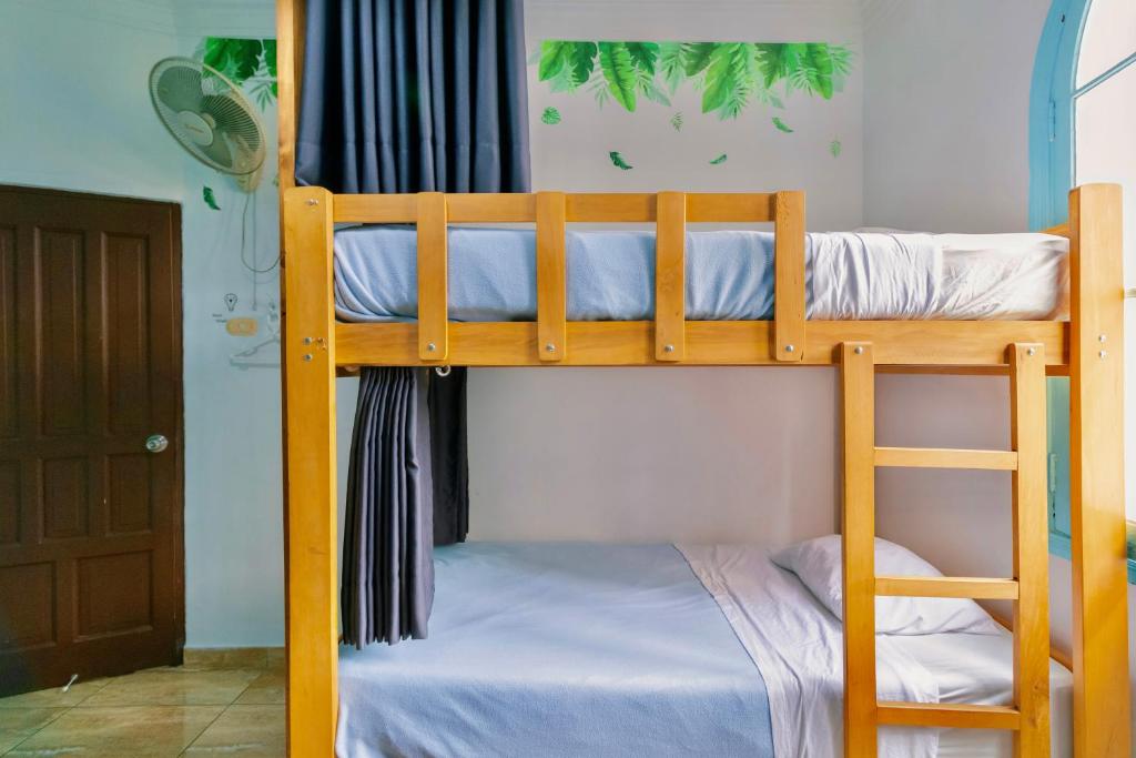 The Secret Garden Hostel photo 4