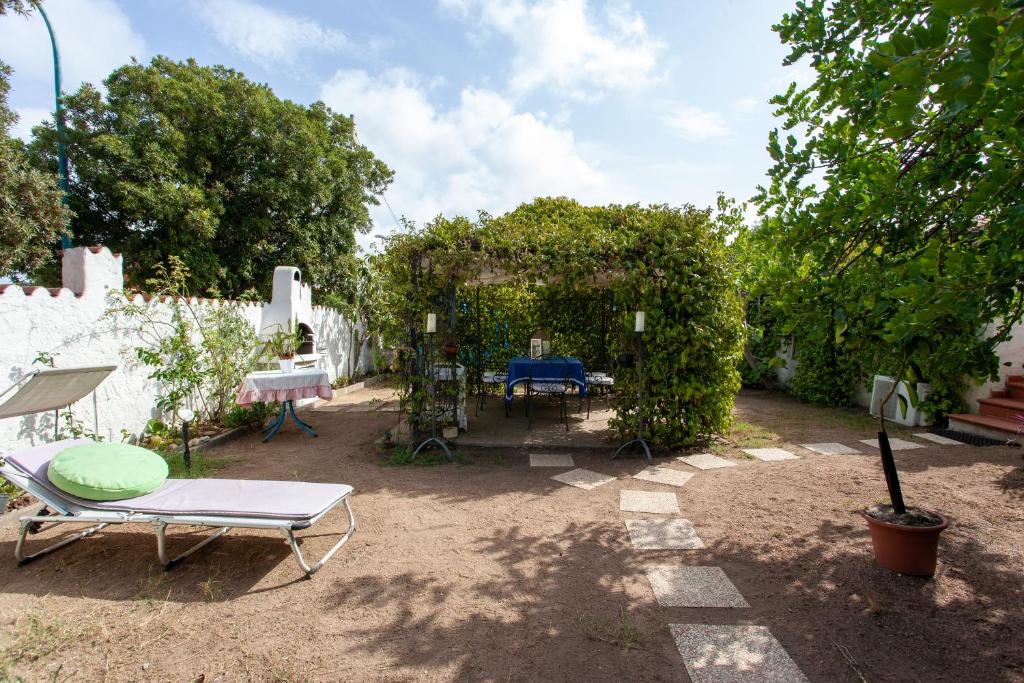 Rosalba House mare photo 1