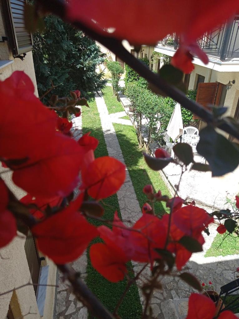 Raptis Aparthotel Sivota photo 1