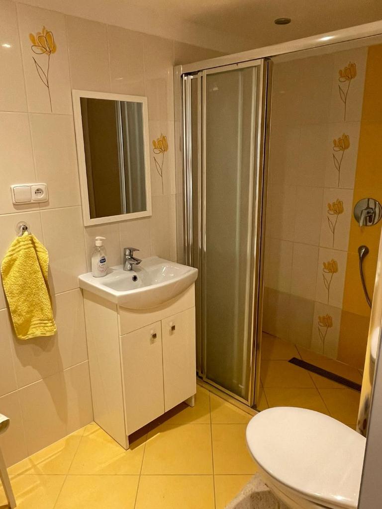 Apartmán v podhůří Jizerských hor photo 1