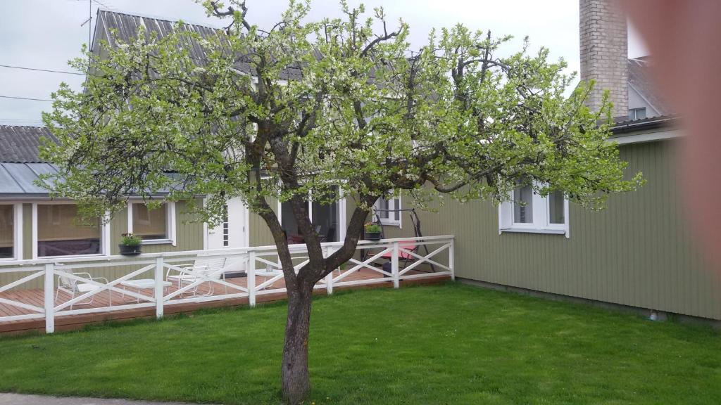 Ovelia B&B photo 2