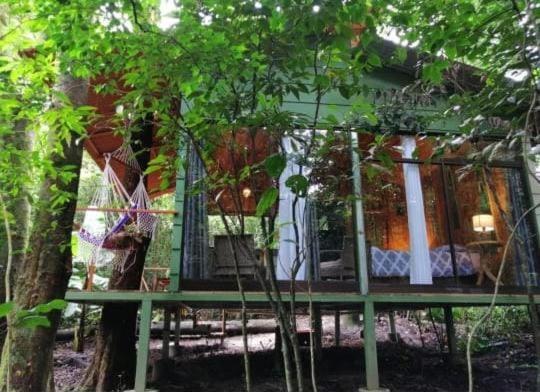 Tree houses Bosque Nuboso Monteverde photo 4