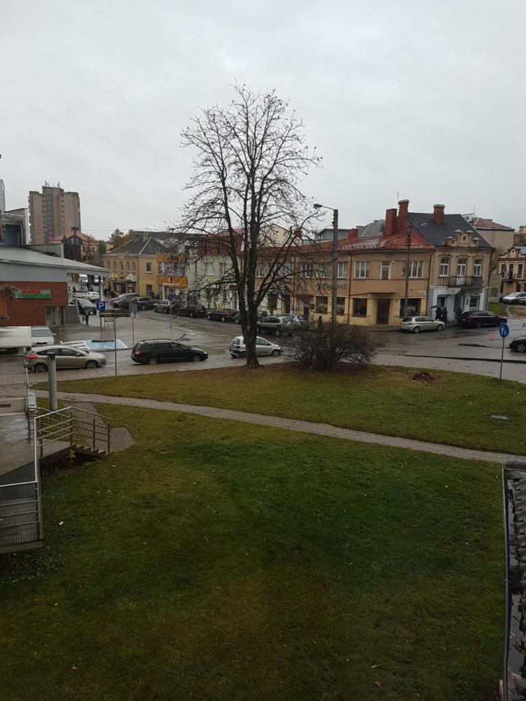 Apartments in Panevezys city center photo 1