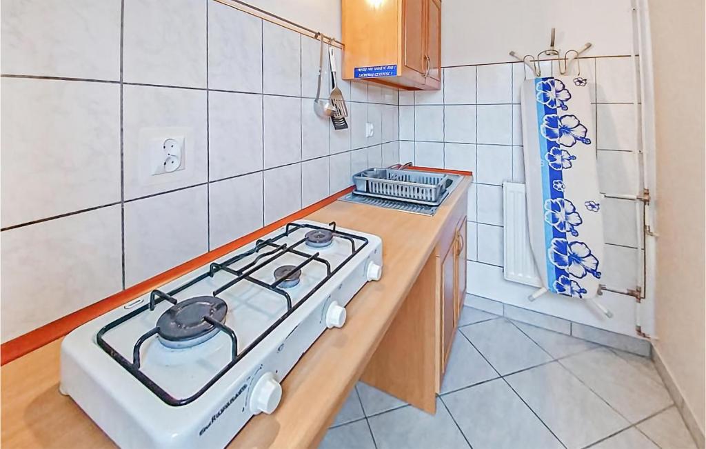 Gorgeous Apartment In Darlwko With Kitchen photo 3