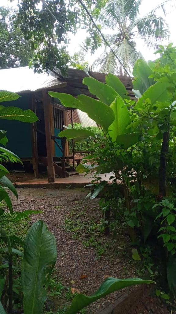 Mohagine Hotel photo 4