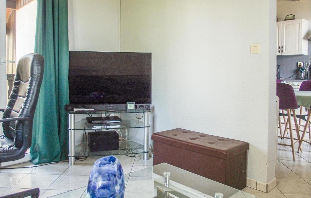 Amazing Apartment In Publier With Internet And 1 Bedrooms photo 4