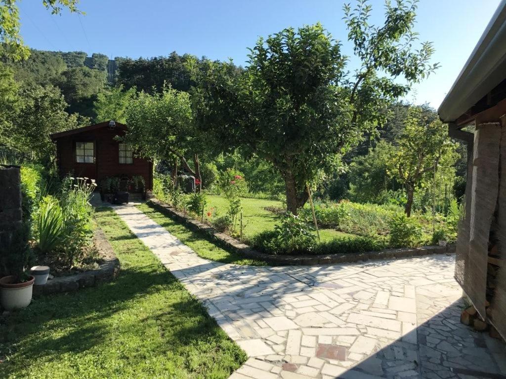 Rooms with a parking space Buzet, Central Istria - Sredisnja Istra - 17835 photo 4