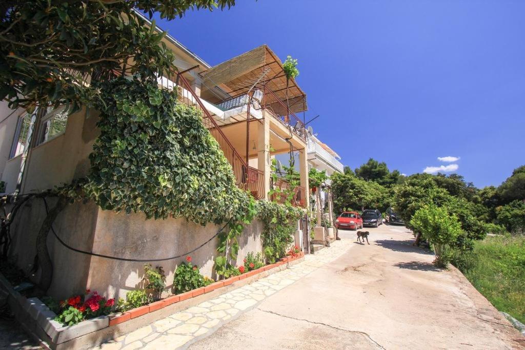 Family friendly seaside apartments Dingac - Borak, Peljesac - 18065 photo 1