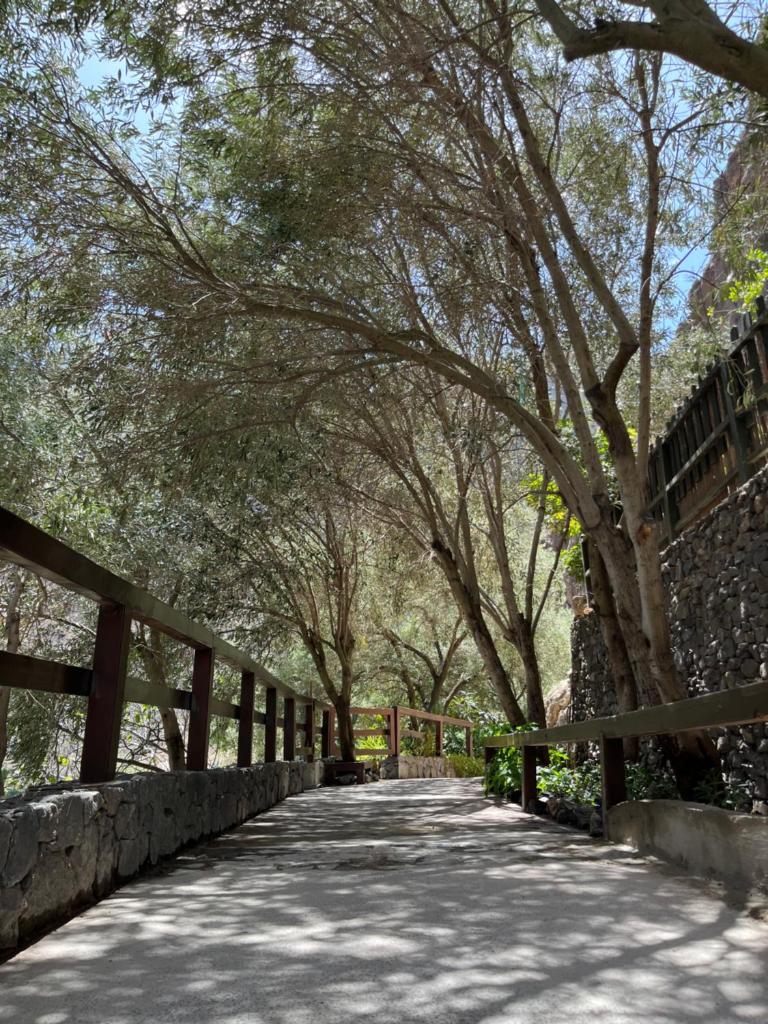 Casa Rural Guayadeque Ca'Juani photo 1