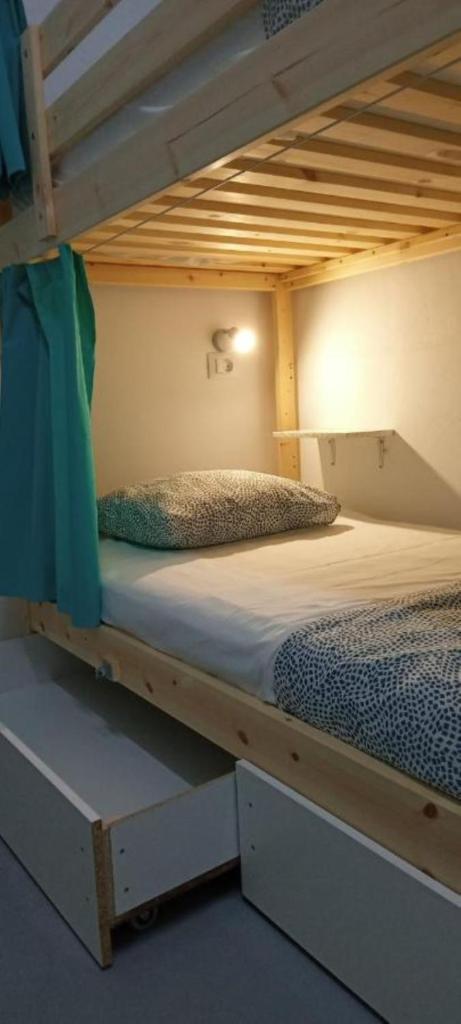 Duque Nest Hostel photo 1