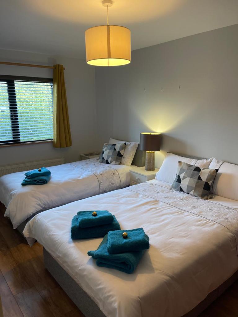 Beach Lodge photo 3