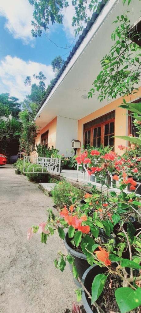 Mountain Paradise Home Stay photo 2