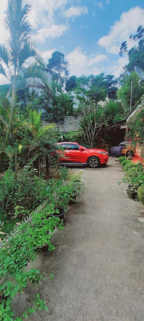 Mountain Paradise Home Stay photo 3