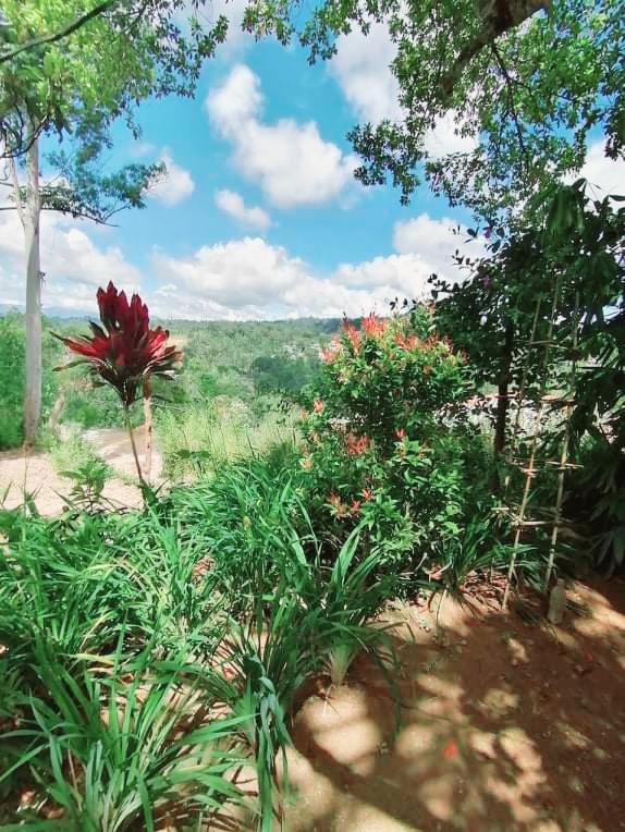 Mountain Paradise Home Stay photo 4