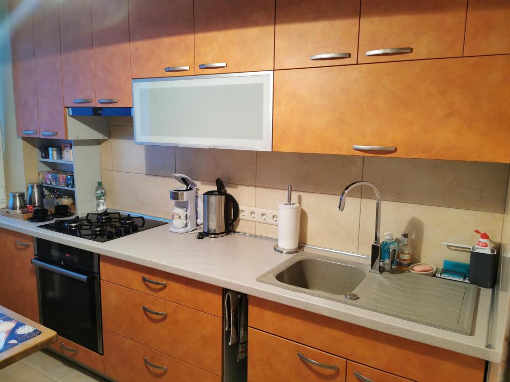 Viktorijos apartamentai photo 3