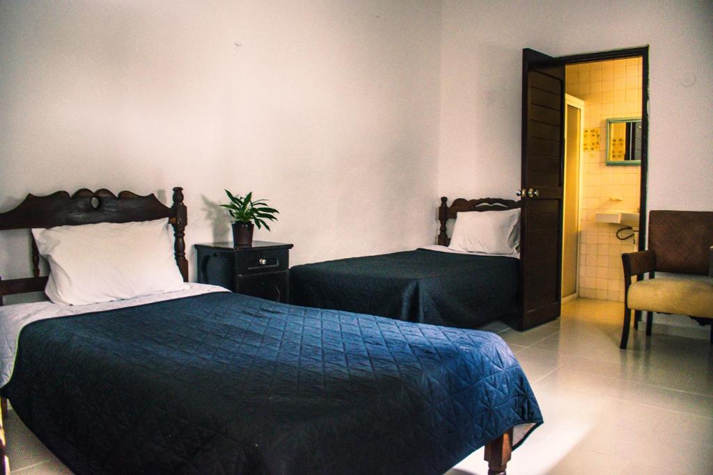 Hotel Cupules Room Type - Standard Twin Room
