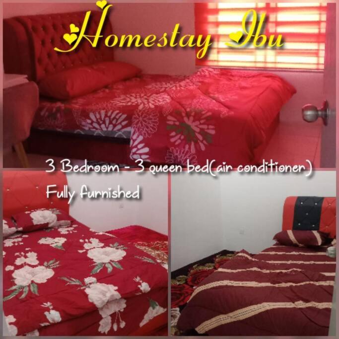 Homestay Ibu(Muslim sahaja)