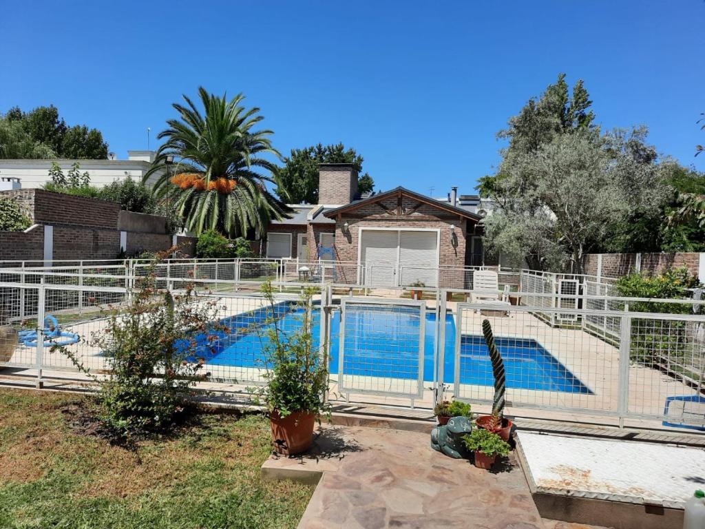 Los abuelos photo 1