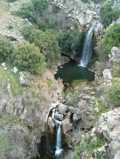Shmulik's Resort photo 3