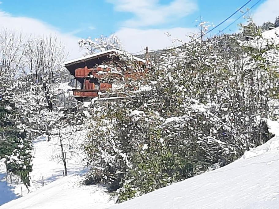 Mountain chalet photo 1