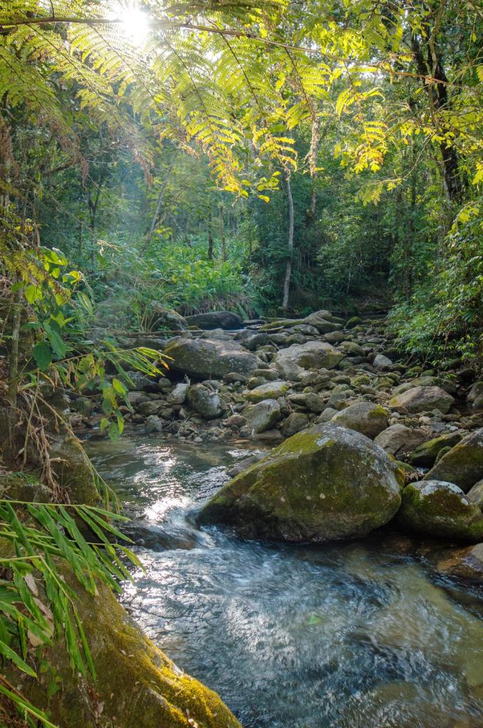 Chalé Pasárgada - Um pedacinho do paraíso na serra photo 1