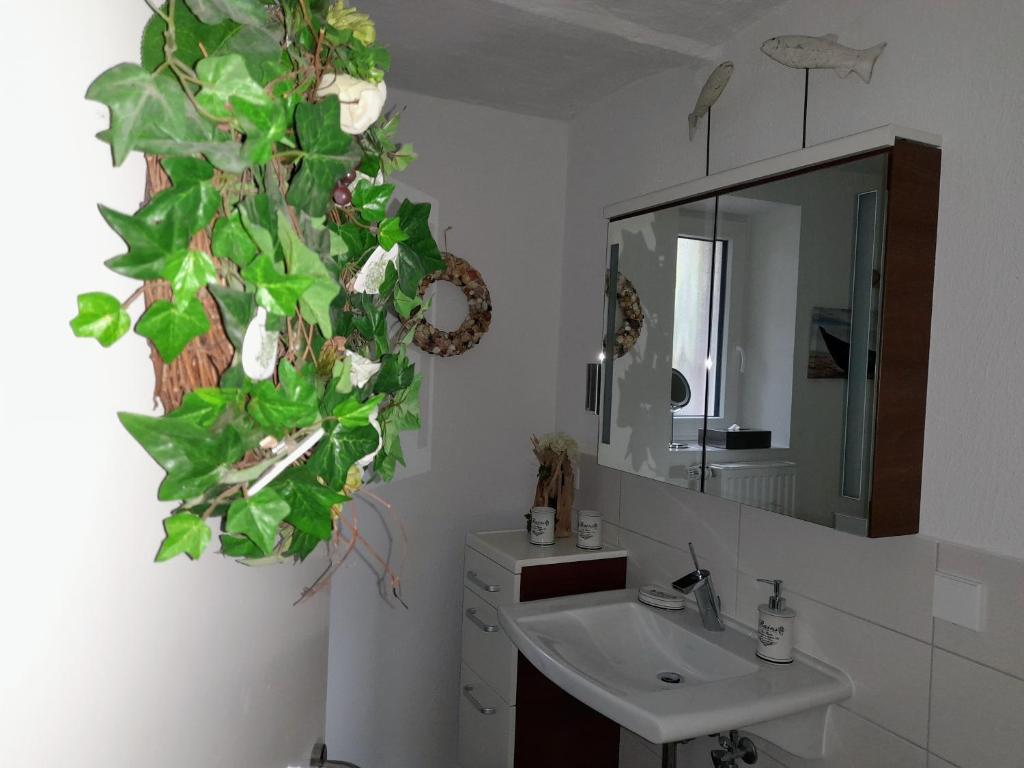 Ferienwohnung moderne Frische im Gewölbe photo 3