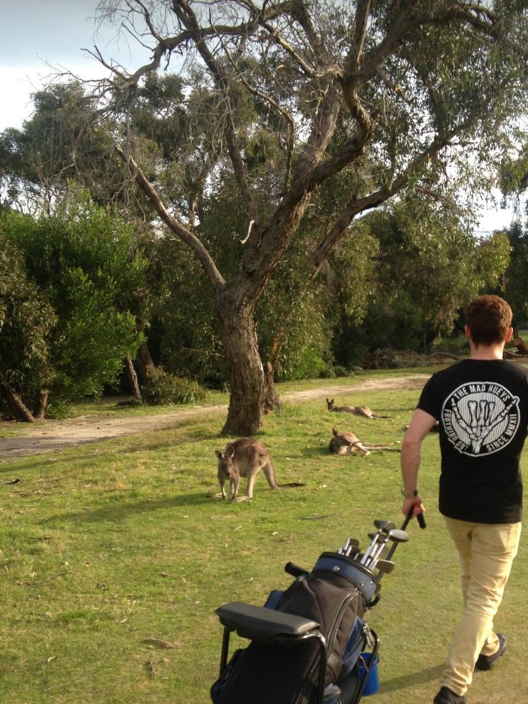 Torquay Homestay Guesthouse - Tap to explore photos