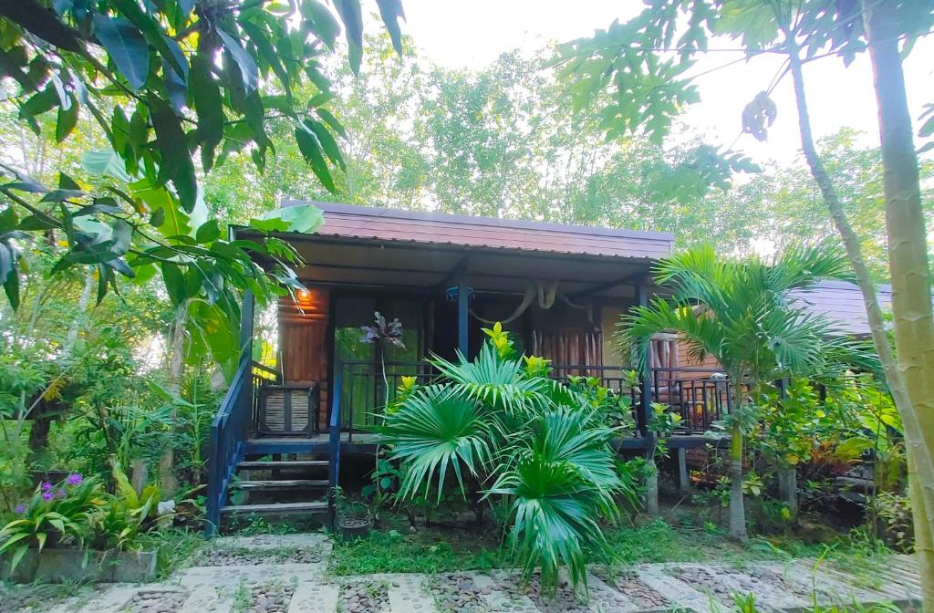 Kohmook Nurse House photo 3