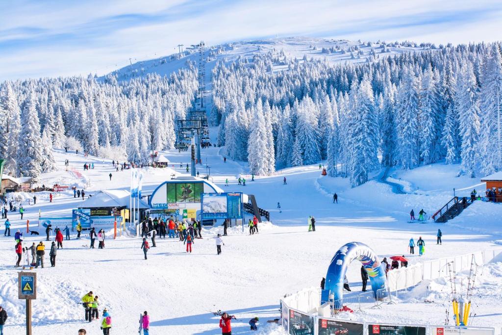 Forest View Apartments in Winterberg Sauerland photo 1