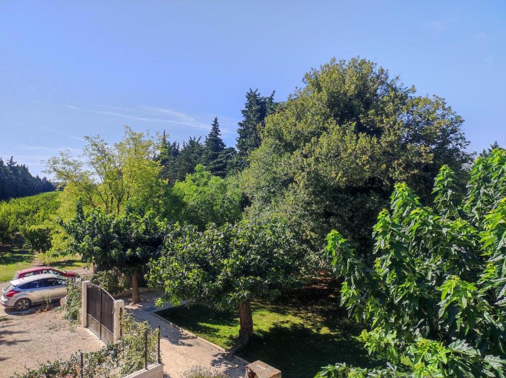 Mas provençal au cœur des vergers photo 2
