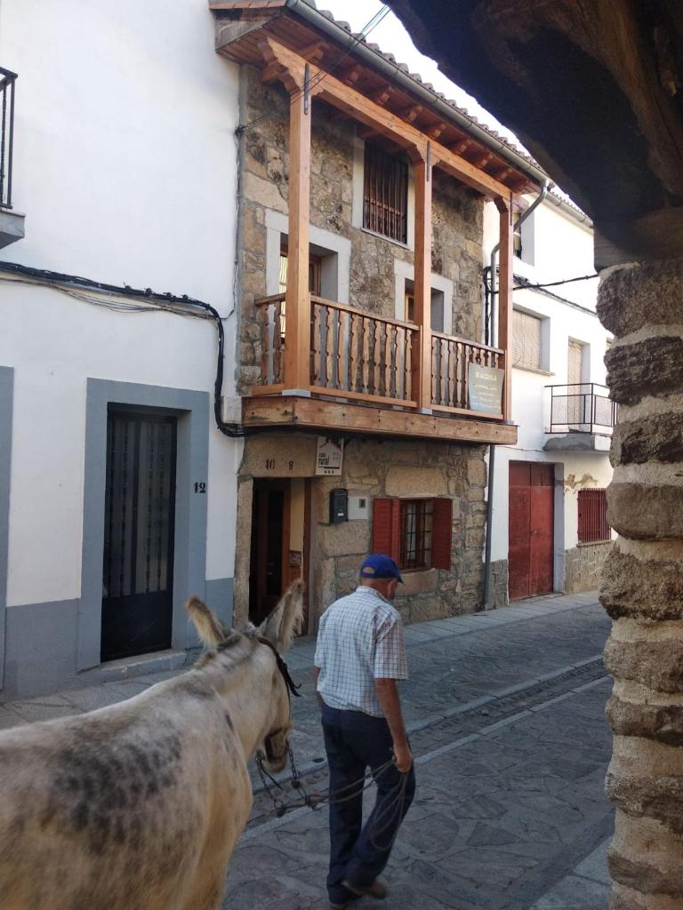 EL PIORNO DE ALCACERA photo 1