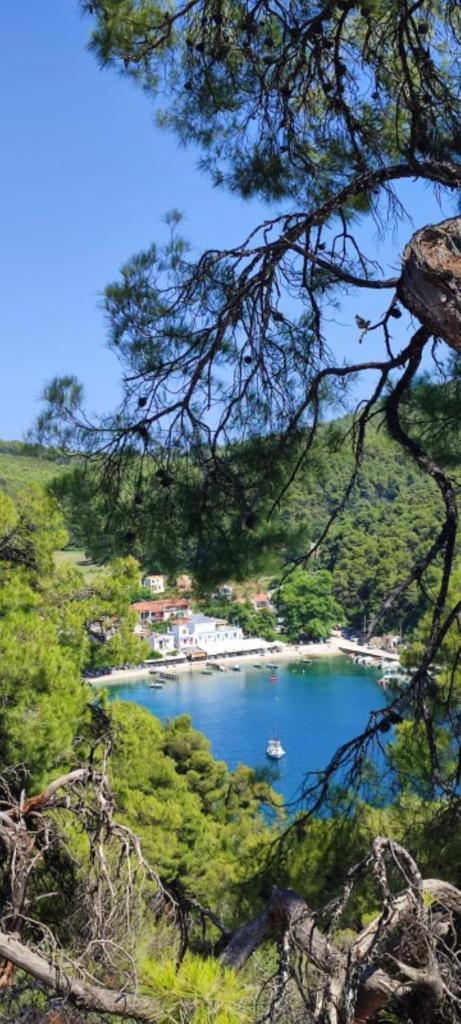 Skopelos country house Diamantis & Chrisi