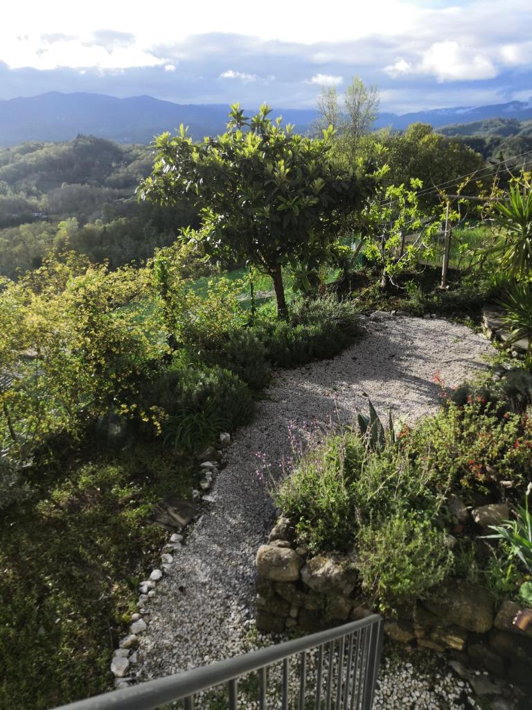 Olivola : maison entière dans un cadre magnifique photo 3