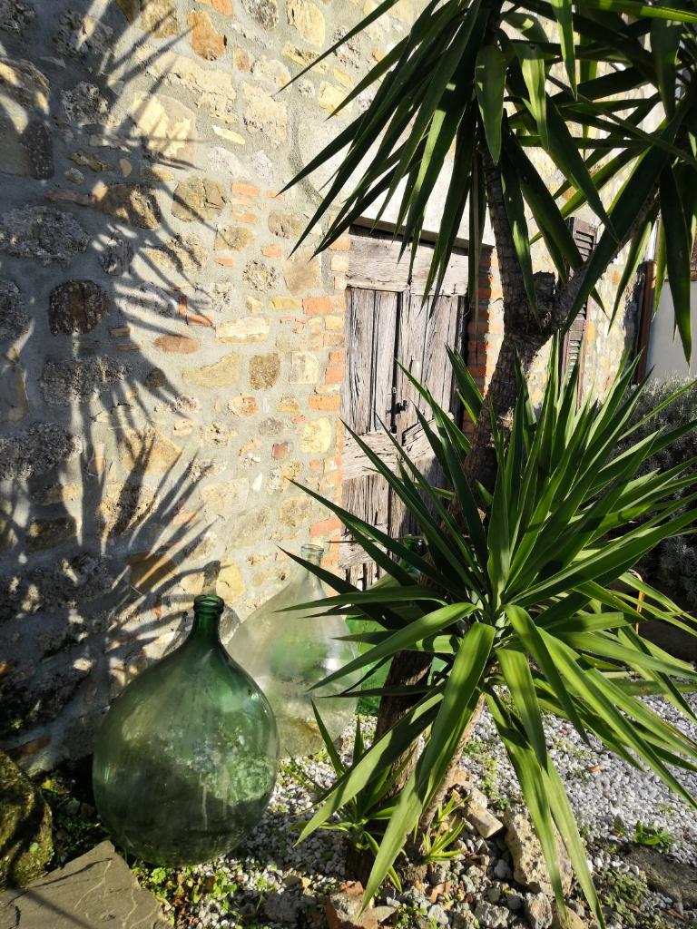 Olivola : maison entière dans un cadre magnifique photo 4