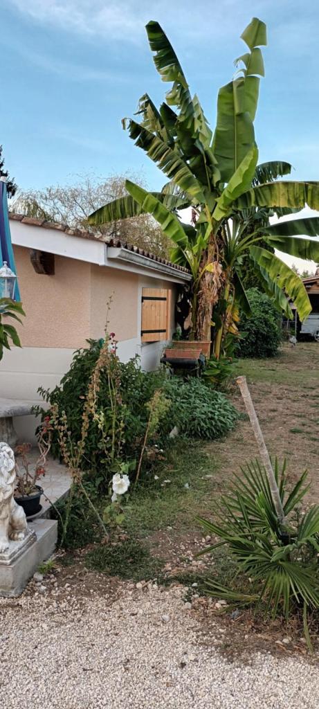 Logement TypeF2 meublé photo 2
