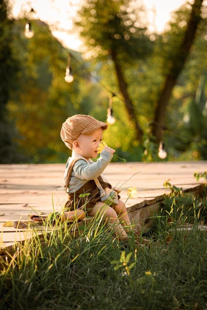 MiCasa - Nhà gác mái trên đỉnh đồi